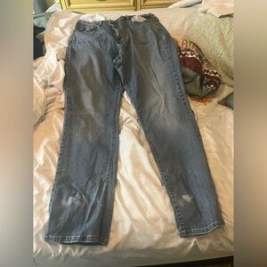 Women’s Straight Fit Blue Jeans